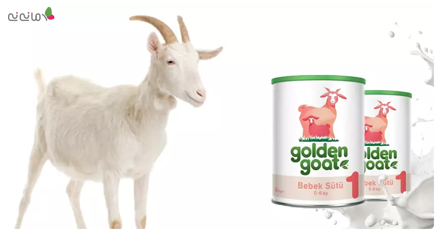 شیر خشک بز گلدن گات شماره 1 Golden Goat